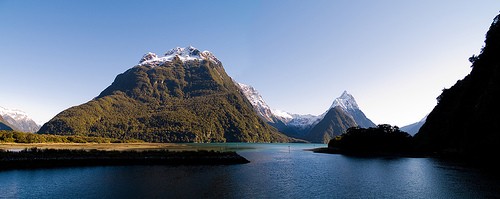 milford track by timmy toucan