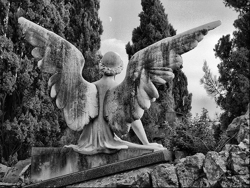 cementerio de montjuïc by perramoon