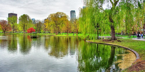 boston public garden by flickr Harris