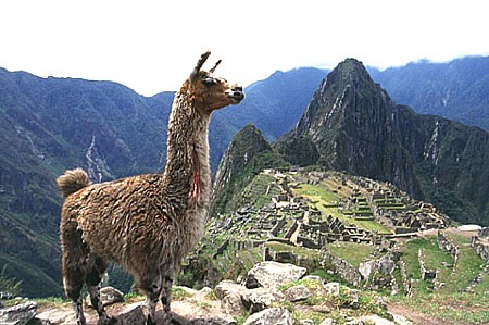 Macchu Pichu