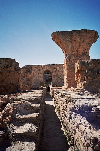 cartago by sameul negredo cartago by sameul negredo