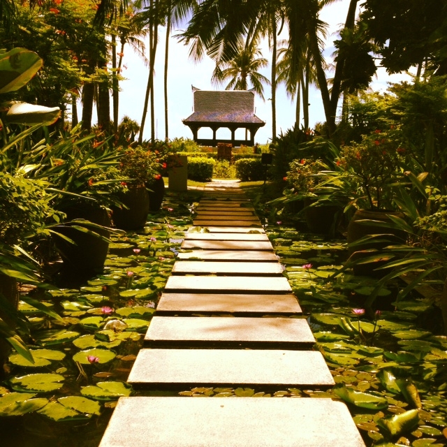 Centara Grand Beach Koh Samui by missviajes  -