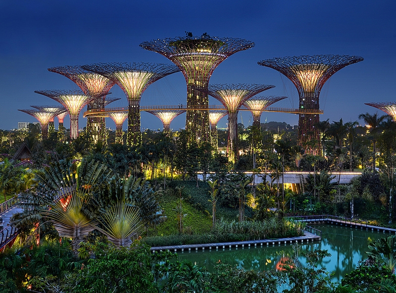 Gardens by the Bay by williamcho  TAGS: