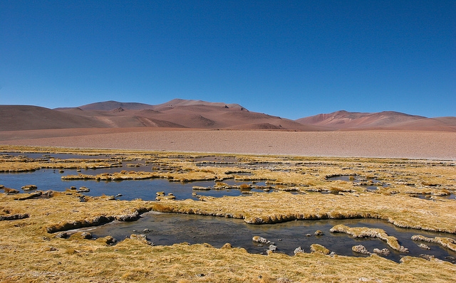 atacama by Miradas.com.br TAGS:undefined