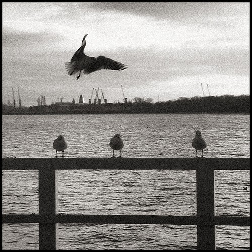 astilleros de gdansk by l.m astilleros de gdansk by l.m